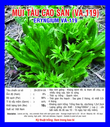 Rau mùi tàu - Việt á Seeds - Công Ty TNHH Phát Triển Nông Nghiệp Việt Á